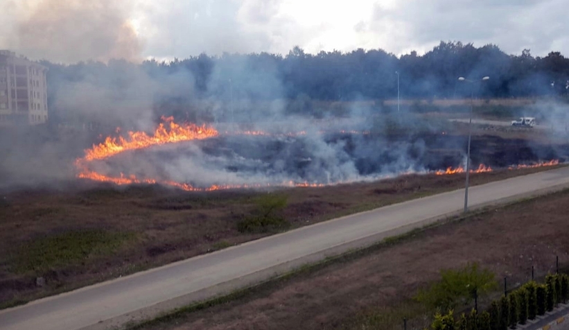Korucuk'ta otluk yangını korkuttu