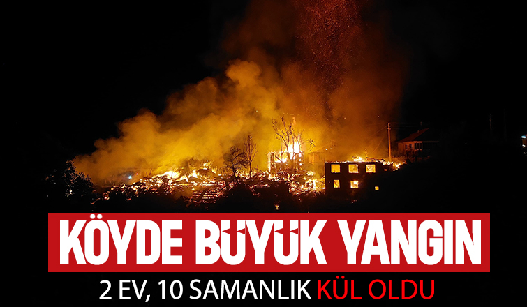 Köyde yangın dehşeti: 2 ev ve 10 samanlık yandı