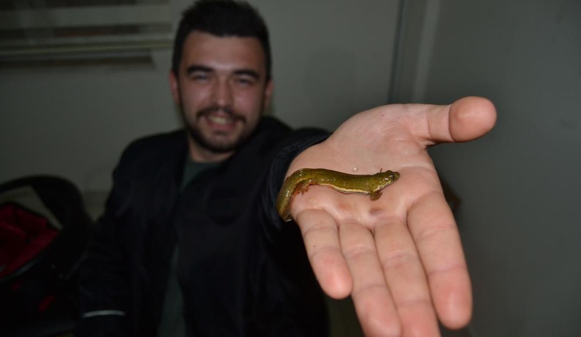 Köylünün ilk önce balık sandığı canlı bakın ne çıktı