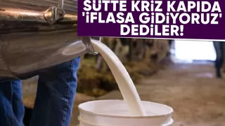 Kriz çanları süt için çalıyor