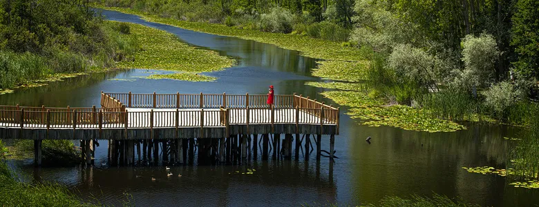 Kültür Yolu Festivali’nin Sakarya takvimi açıklandı