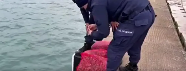 Kum şırlanı avcılarına operasyon