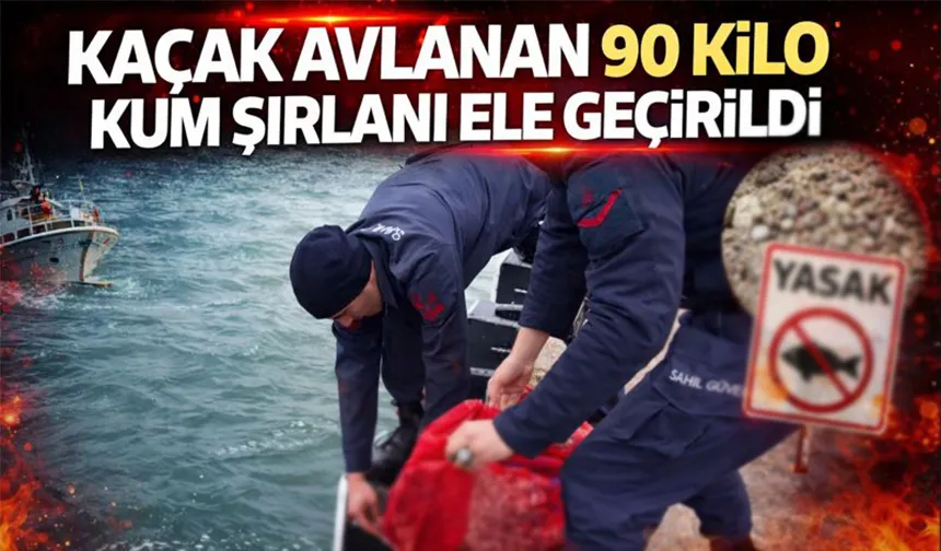 Kum şırlanı avcılarına operasyon