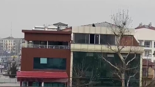 Kumar baskınında çatıdan kaçmaya çalıştılar