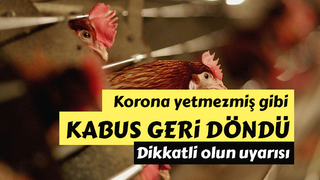 Kümes hayvanları için kuş gribi uyarısı