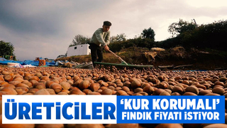 Kur korumalı fındık fiyatı talebi