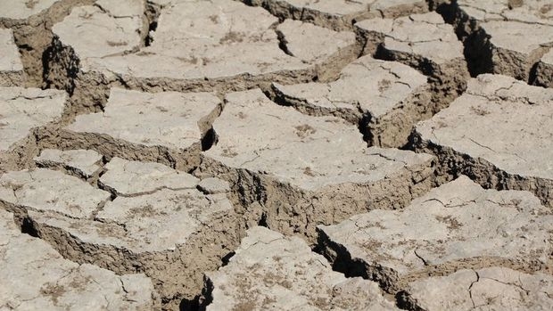 Kuraklıktan etkilenen çiftçiye dekar başına 100 TL destek