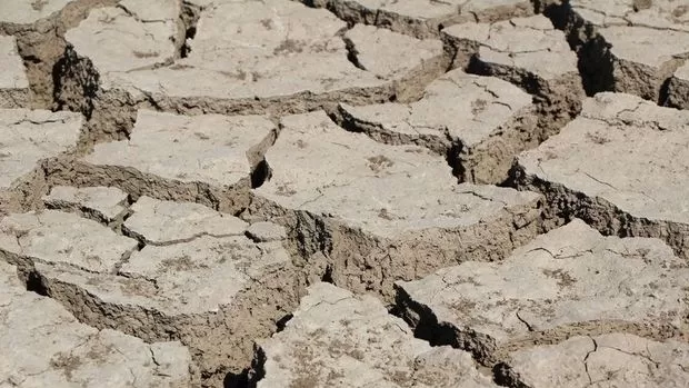Kuraklıktan etkilenen çiftçiye dekar başına 100 TL destek