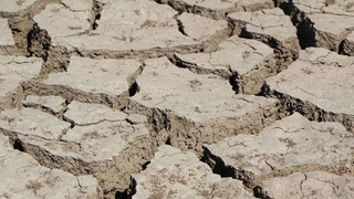 Kuraklıktan etkilenen çiftçiye dekar başına 100 TL destek