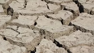 Kuraklıktan etkilenen çiftçiye dekar başına 100 TL destek
