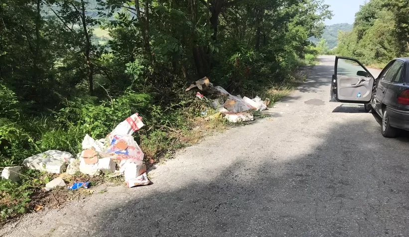 Kurban atıklarını ormana attılar