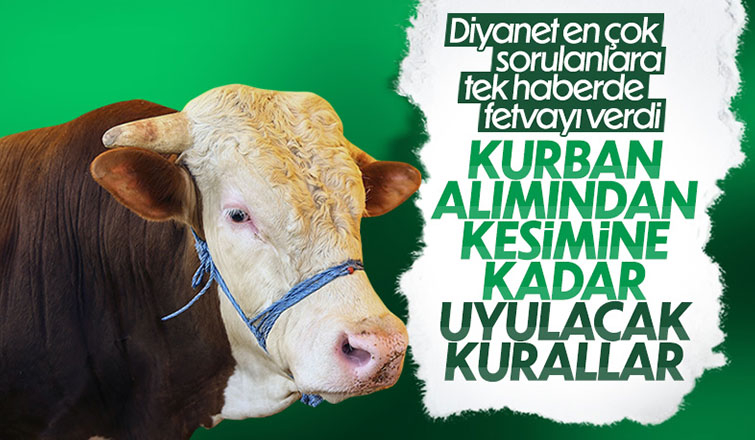 Kurban ibadeti ile ilgili dikkat edilmesi gerekenler