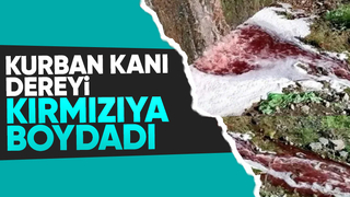 Kurban kanlarını dereye akıttılar