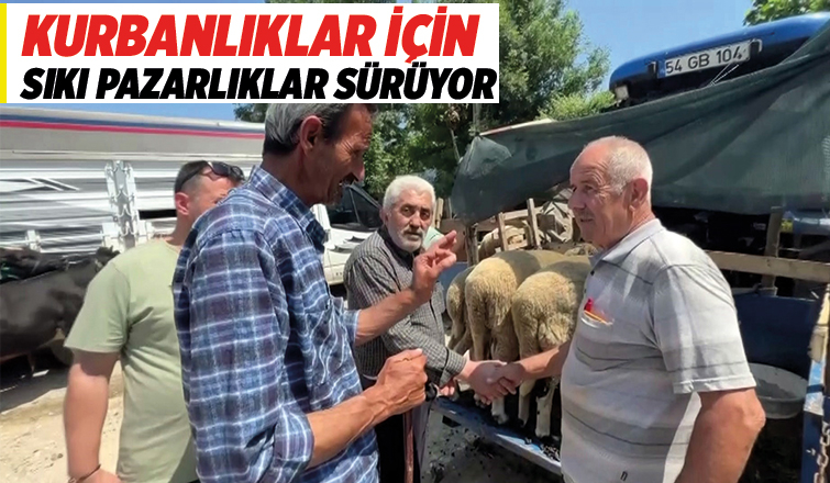 Kurban pazarlarında hareketlilik