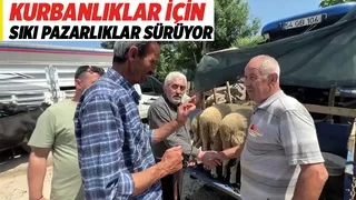 Kurban pazarlarında hareketlilik