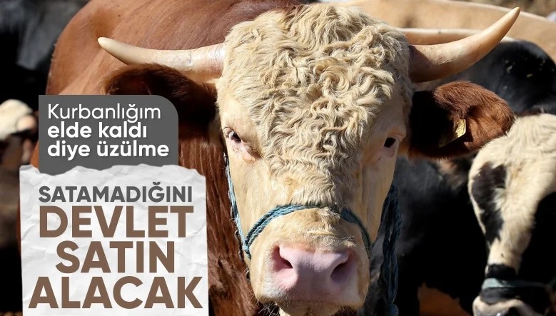 Kurban pazarlarında satılamayan kurbanlıklar ESK tarafından satın alınacak