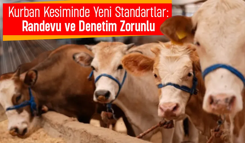 Kurban satış ve kesim yerleri için yeni kriterler belirlendi