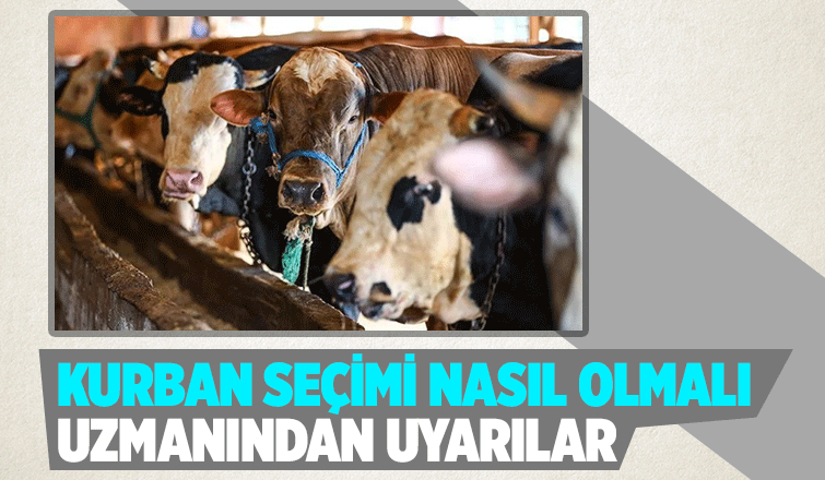 Kurban seçimi için uyarılar