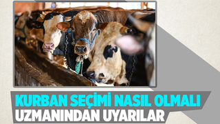 Kurban seçimi için uyarılar