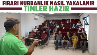 Kurban yakalama timleri hazır