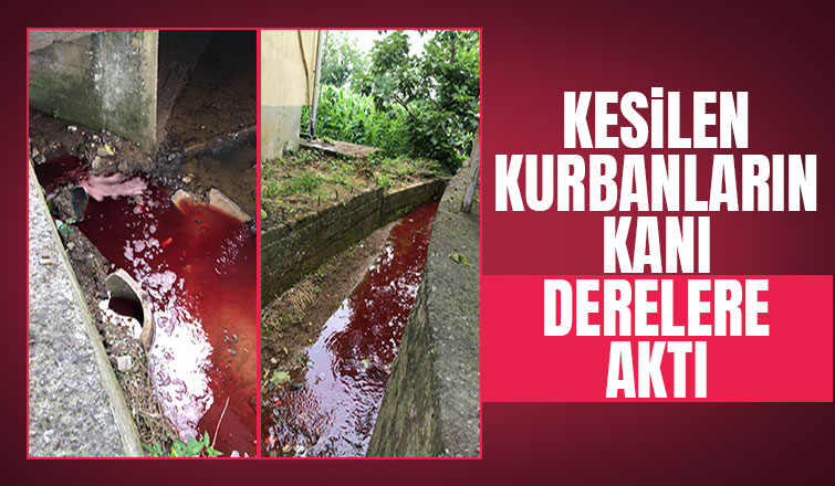 Kurbanda istenmeyen görüntüler