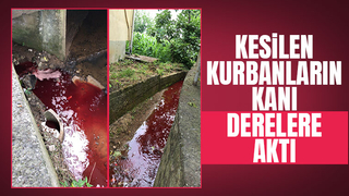 Kurbanda istenmeyen görüntüler