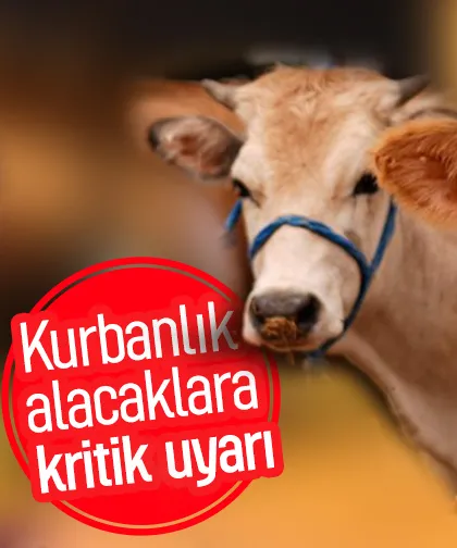 Kurbanlık alacaklara kritik uyarı
