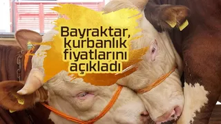 Kurbanlık fiyatlarını açıkladı