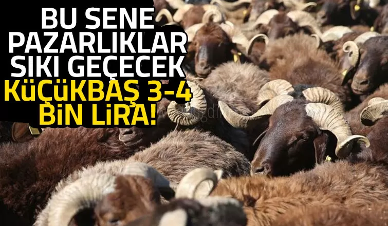 Kurbanlık küçükbaş 3-4 bin lira olur