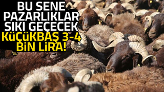 Kurbanlık küçükbaş 3-4 bin lira olur