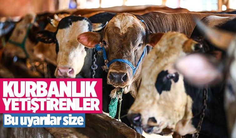 Kurbanlık yetiştirenlere uyarılar