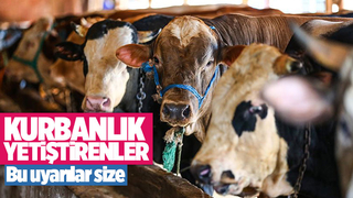 Kurbanlık yetiştirenlere uyarılar