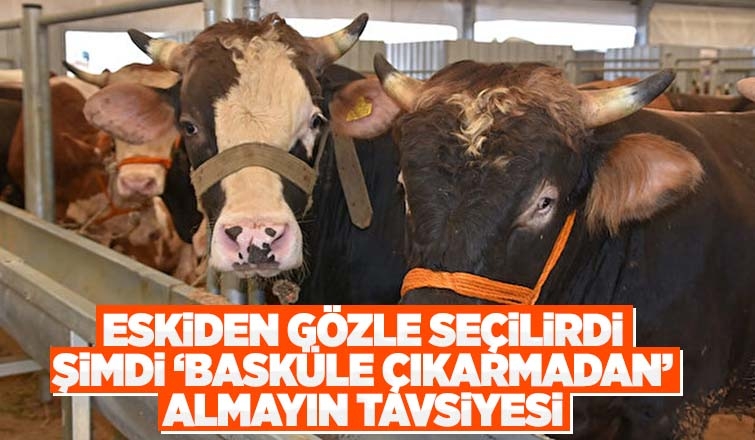 Kurbanlıkları basküle çıkarıp öyle alın tavsiyesi