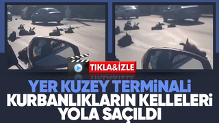 Kurbanlıkların kelleleri yola saçıldı