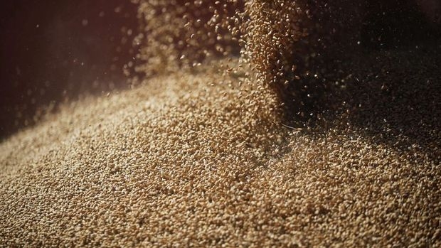 Küresel buğday stokları alarm veriyor: 10 haftalık kaldı