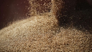 Küresel buğday stokları alarm veriyor: 10 haftalık kaldı