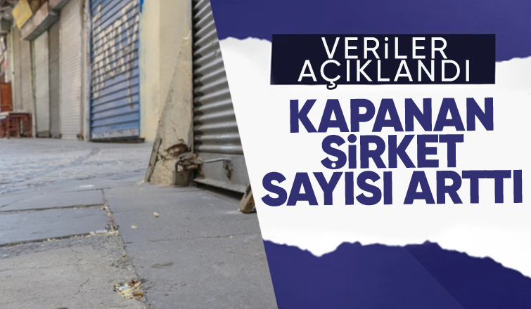 Kurulan şirket sayısı yüzde 17,3 azaldı