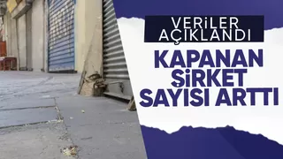 Kurulan şirket sayısı yüzde 17,3 azaldı