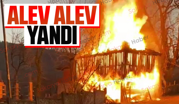 Kuruluk alevlere teslim oldu