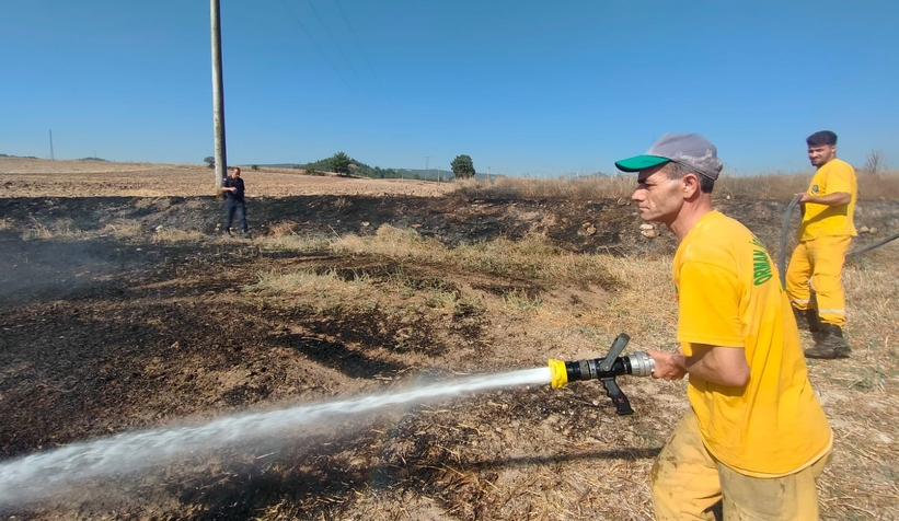 Kuş elektrik tellerine çarptı, yangın çıktı