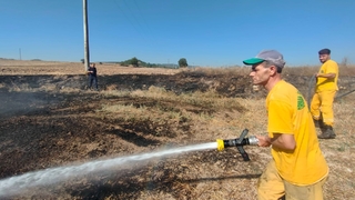 Kuş elektrik tellerine çarptı, yangın çıktı