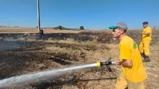 Kuş elektrik tellerine çarptı, yangın çıktı