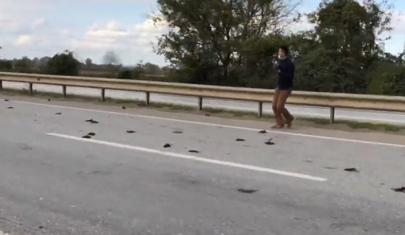 Kuş ölümleriyle ilgili soruşturma başlatıldı