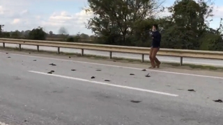 Kuş ölümleriyle ilgili soruşturma başlatıldı