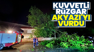 Kuvvetli rüzgar Akyazı'da ağaçları devirdi