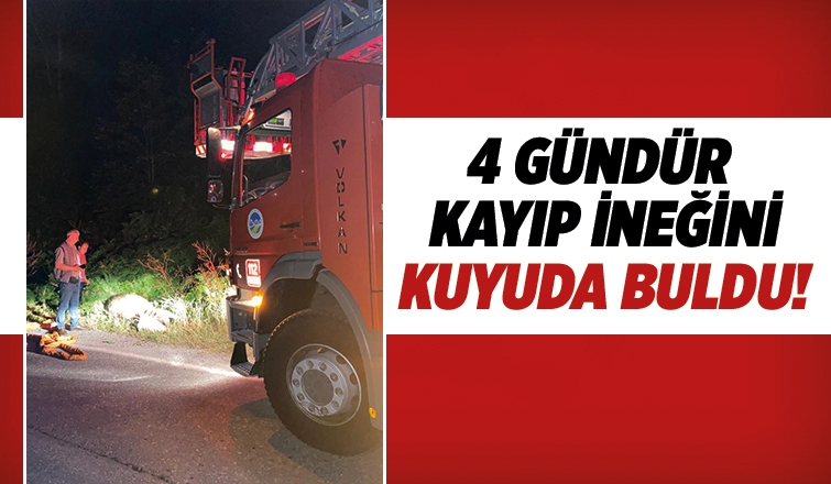 Kuyuya düşen ineği itfaiye kurtardı