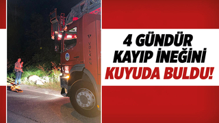 Kuyuya düşen ineği itfaiye kurtardı