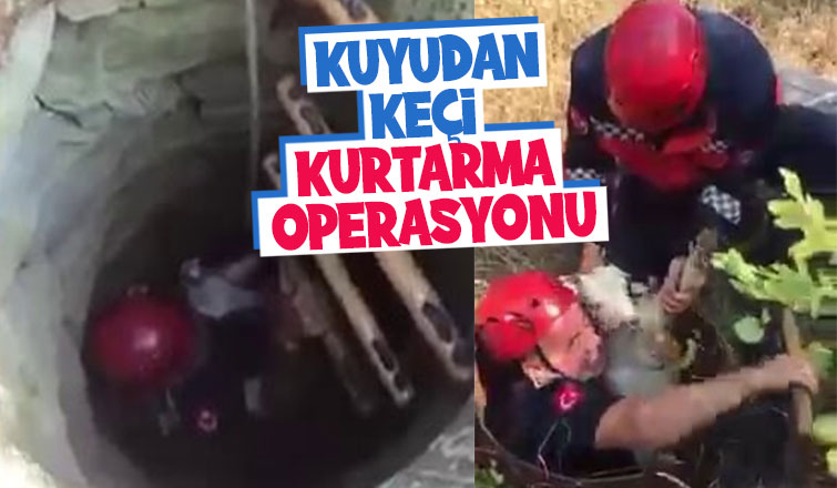 Kuyuya düşen keçi itfaiye ekiplerince kurtarıldı