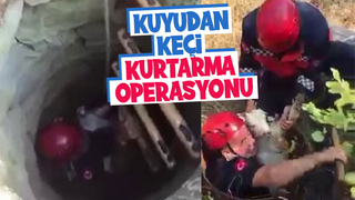 Kuyuya düşen keçi itfaiye ekiplerince kurtarıldı