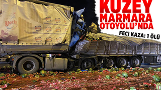 Kuzey Marmara'da kaza 1 ölü